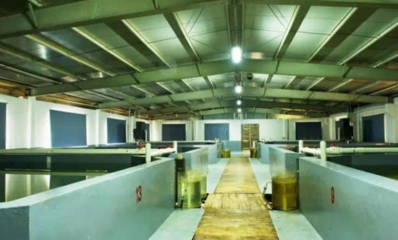 工業(yè)重鎮(zhèn)向“綠”轉(zhuǎn)型 順德三年行動(dòng)計(jì)劃，以軟件開發(fā)賦能現(xiàn)代農(nóng)業(yè)高地建設(shè)